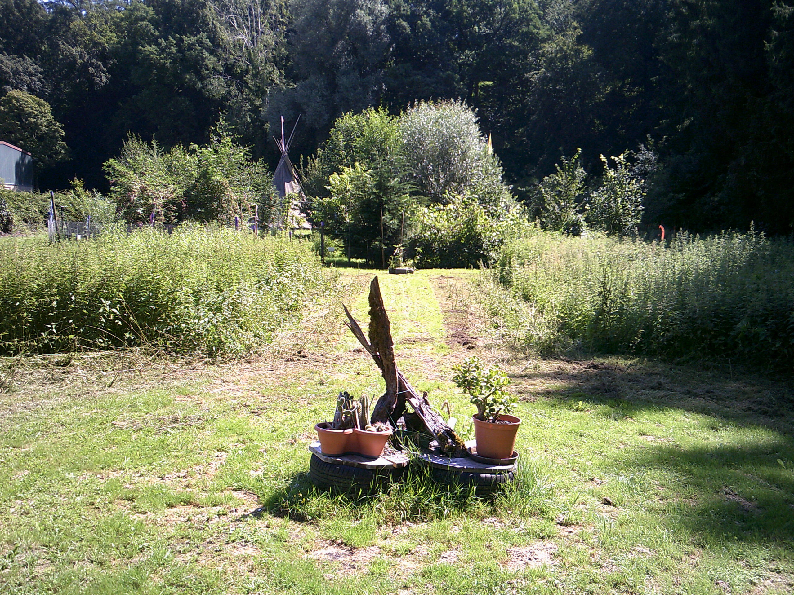 Digital Camera